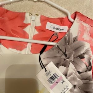 NWT Dress.  Smoke free home